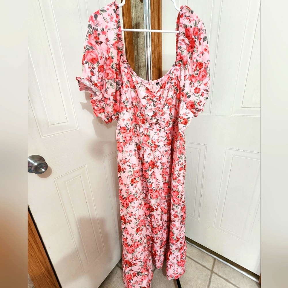 Plus size light pink dress with pink roses